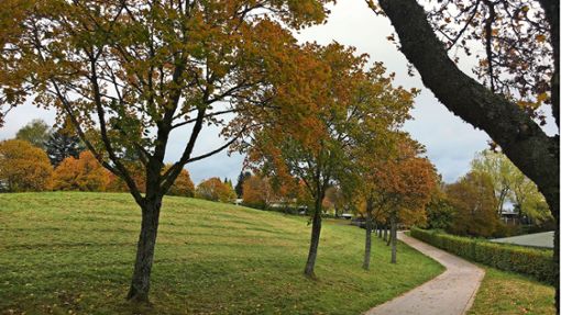 Die Bäume zeigen es an: Es ist Herbst in Freudenstadt geworden. Foto: Lothar Schwark