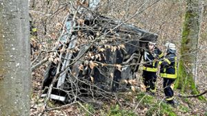 Unfall im Sulzer Wald: Darum machten sich  die beiden Autoinsassen aus dem Staub