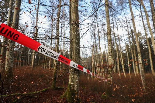 Der vermisste Mann aus Frittlingen ist tot. Suchmannschaften fanden ihn leblos im Wald liegen. (Symbolfoto) Foto: Marc Eich