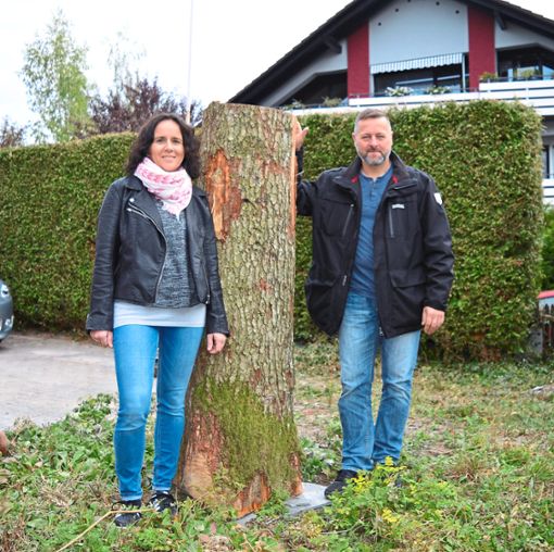 Natascha und Ralf Siegenführ  zeigen den Baumstamm, aus dem  Hildegard Diemer mit der Motorsäge eine bleibende Erinnerung an den 130. Geburtstag des Taubenmarktes zaubern will.  Foto: Bantle Foto: Schwarzwälder Bote