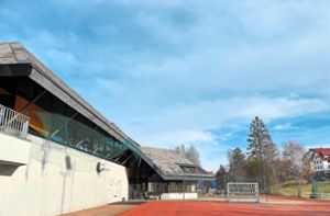 Der Gemeinderat Schonach beschließt die Reparaturen des Netzes am Allwettersportplatz sowie am Basketballkorb der Schule. Foto: Börsig-Kienzler