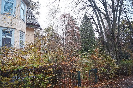 Auf diesem Gelände am Dr.-Schröder-Weg in Schömberg soll ein Pflegeheim für Demenzkranke entstehen. Foto: Krokauer Foto: Schwarzwälder-Bote