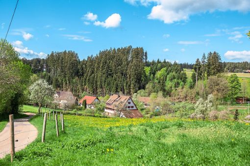Die Landschaft um Musbach kann man bei verschiedenen Touren am 1. Mai genießen.  Foto: Ortschaftsverwaltung Foto: Schwarzwälder Bote