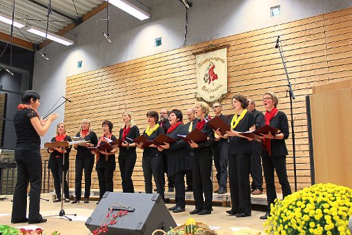 Der Chor des Männergesangvereins gibt ein Herbstkonzert. Foto: MGV Foto: Schwarzwälder-Bote