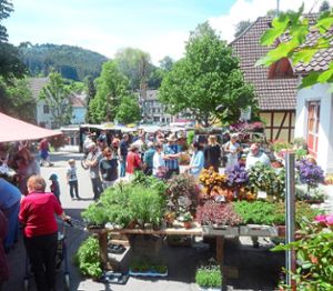 Sehr gut besucht ist der Pfingstmarkt in Leinstetten. Fotos: Gukelberger Foto: Schwarzwälder Bote
