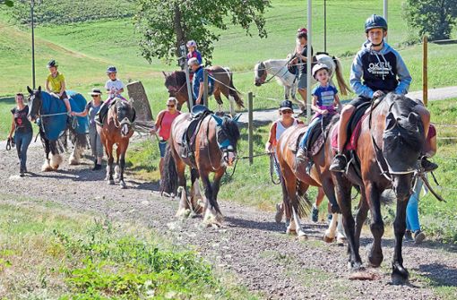 Familie Fehrenbach ermöglicht Kindern erste Erfahrungen auf einem Pferderücken. Foto: Dach