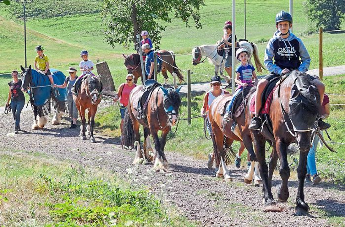 Ferienprogramm Seelbach: Kinder das erste Mal auf einem Pferderücken