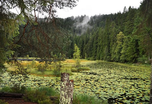 Der Huzenbacher See befindet sich in der bisherigen Suchkulisse für einen Nationalpark. Doch das Blatt könnte sich wenden. Eine neue  Variante ist denkbar, die die Gebiete im Kreis Freudenstadt ausklammert. Foto: Schwark