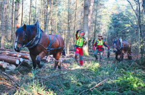 Pferd Toni (von links), Carsten Rempp, Rolf Rebmann und Pferd Theo bearbeiten in zehn Tagen eine Fläche von zehn Hektar. Foto: Biermayer