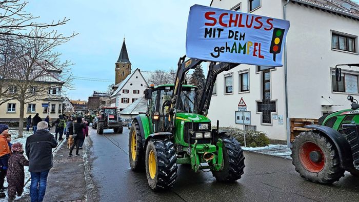 Bauernproteste: Hunderte bei Protesttag im Zollernalbkreis