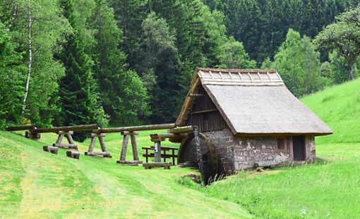 Die voll funktionstüchtige Mooswaldmühle bietet am Deutschen Mühlentag wiederum einen Tag der offenen Tür an.  Foto: Borho Foto: Schwarzwälder Bote