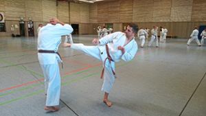 Viele interessante Techniken lernten die Teilnehmer des Lehrgang des Karateclubs Haslach von den Trainern. Foto: kch Foto: Schwarzwälder-Bote
