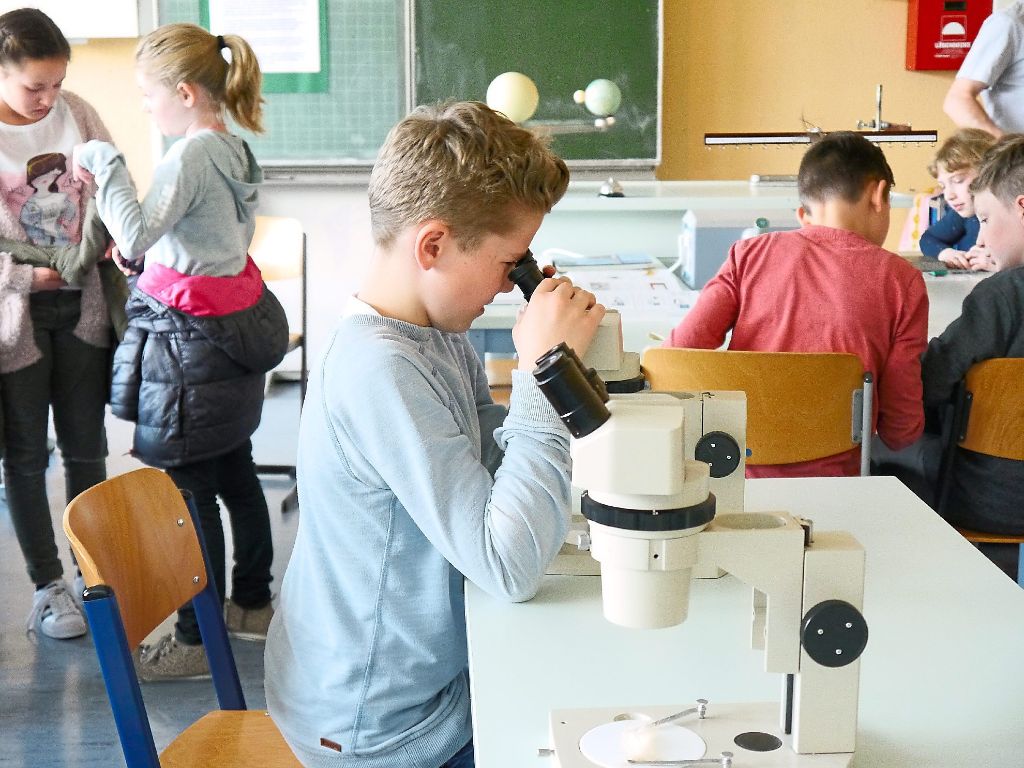 Haigerloch: Gymnasium präsentiert sich von seiner besten Seite