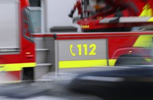 Eine Taschenlampe hat einen Brand in einem Feuerwehrhaus verursacht (Symbolfoto). Foto: IMAGO/Andreas Gora/IMAGO/Pressefoto Gora