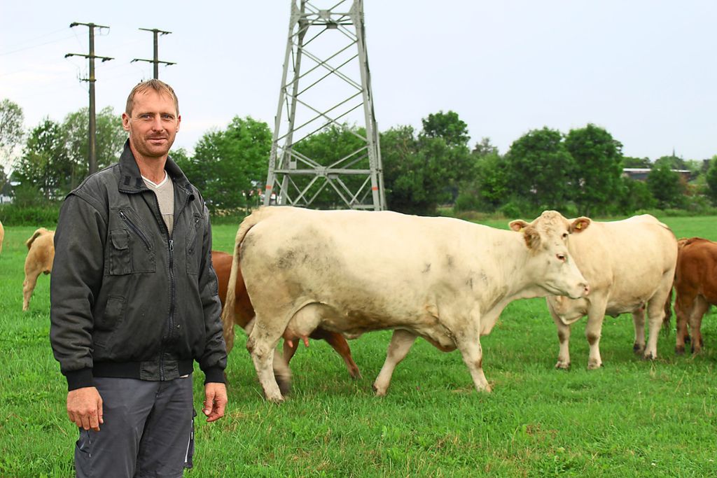Landwirt Patrick Bossert bei seinen Kühen auf dem Feld bei Geisingen. Dass sie eine Wasserversorgung haben, sei selbstverständlich. Dennoch gab es einen Anruf von der Polizei. Die Person hatte kein Wasserfass gesehen und vermutete Tierquälerei.