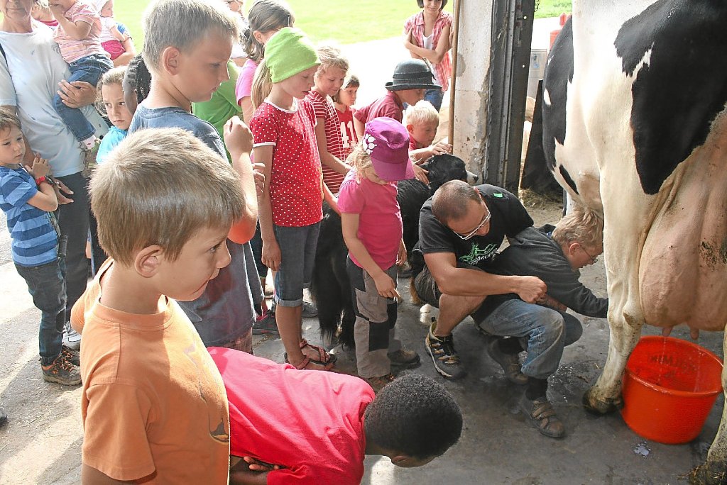 Mit großem Interesse verfolgten die Kinder das Melken. Ganz Mutige versuchten es auch selbst einmal am Euter.  Foto: Hübner Foto: Schwarzwälder-Bote