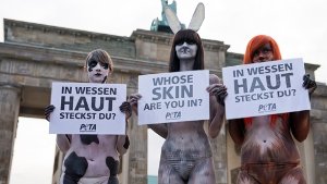 Nackter Protest gegen Tierquälerei für Mode 