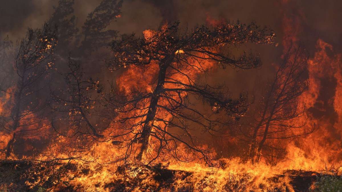 Waldbrand bei Dubrovnik: Jetzt brennt es auch in Kroatien