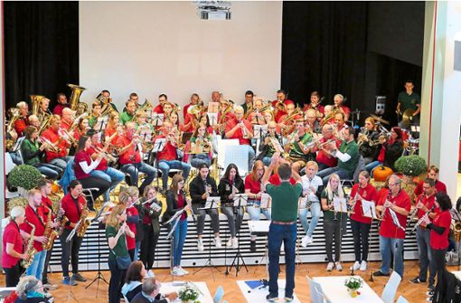 Das Jubiläumsorchester mit 85 Blasmusikanten Foto: Stadler