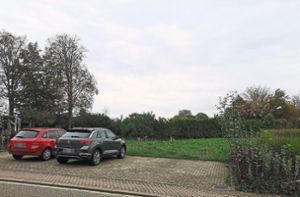 Aus drei von sechs Parkplätzen und einem Grünstreifen in der Bergstraße soll ein Baugrundstück entstehen. Foto: Decoux