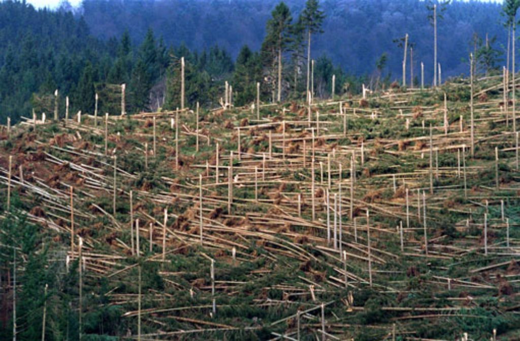 Orkan Lothar, der schwerste Sturm seit 1876, hat Mitteleuropa schwer getroffen und 11,5 Milliarden Euro volkswirtschaftlichen Schaden verursacht. Die Forstwirtschaft hat es besonders schlimm erwischt.