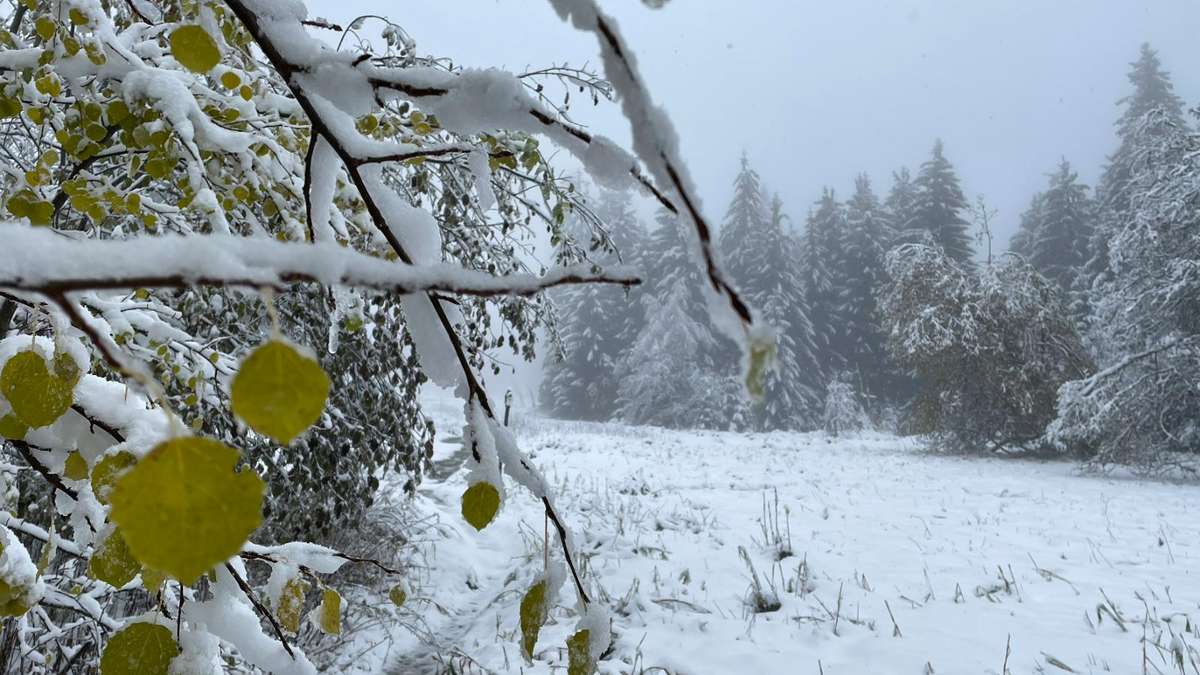 Der erste Schnee ist da: Wintereinbruch auf der Schwarzwaldhochstraße
