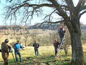Die Mitglieder steigen auf die Leiter und befestigen Nistkästen an den Bäumen.  Fotos: privat Foto: Schwarzwälder Bote