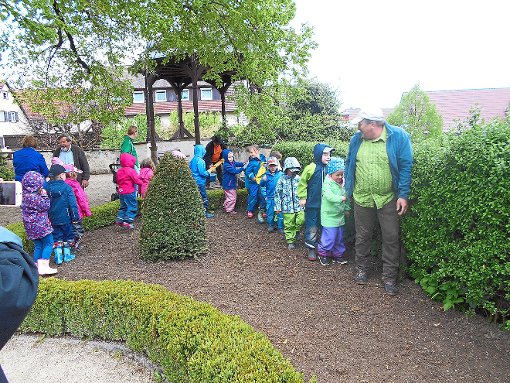 Im Gänsemarsch laufen die Kindergarten rings um das Blumenbeet, um die Aussaat festzustampfen. Foto: Gartenfreunde Foto: Schwarzwälder-Bote