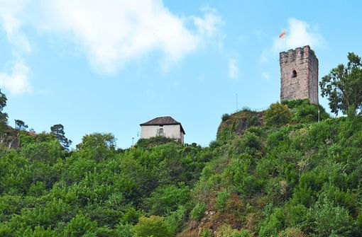 Der Gemeinderat hat sich mit dem Konzept für den Hornberger Schlossberg befasst. Foto: Sauer