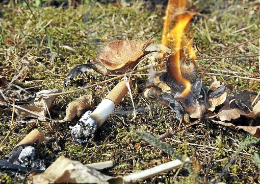 Rauchen ist im Wald bis 31. Oktober wegen der Brandgefahr verboten. Foto: Kumm