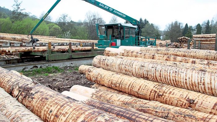 Nationalpark: Bekommen Säger weniger Holz?
