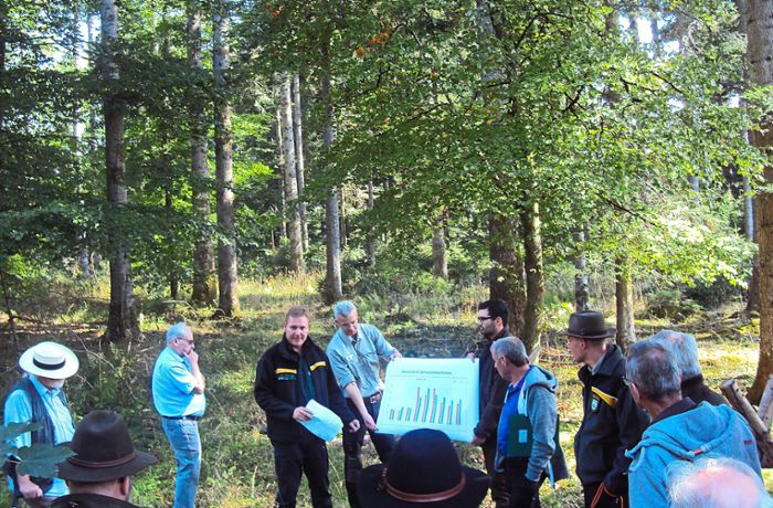 Blumberger Stadtwald: Dürre lässt 30 Prozent der neuen Bäume absterben