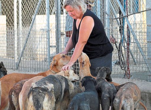 Birgit Förstling aus Spanien vermittelt Hunde ins Gäu und gibt ihnen damit ein neues Leben. Nun brauchen sie und ihr Mann Hilfe. Foto: Privat