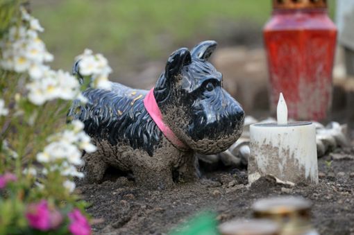 Haustiere können nach ihrem Tod auf einem Friedhof beerdigt werden. (Symbolfoto) Foto: dpa