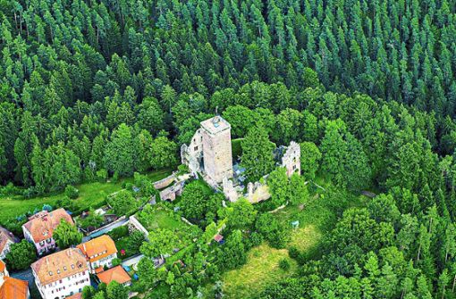 Ein Wiederaufbau der Burg Zavelstein wäre wahrlich ein Projekt, das finanziell anspruchsvoll wäre in Bad Teinach-Zavelstein. Foto: Fritsch