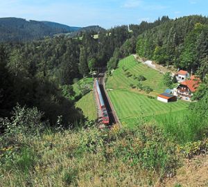 Durch hübsche Täler dichten Wald führt der Weg der Schwarzwaldbahn und Okrantief Sabine sorgt für zahlreiche Bäume auf der Strecke. Foto: Kienzler