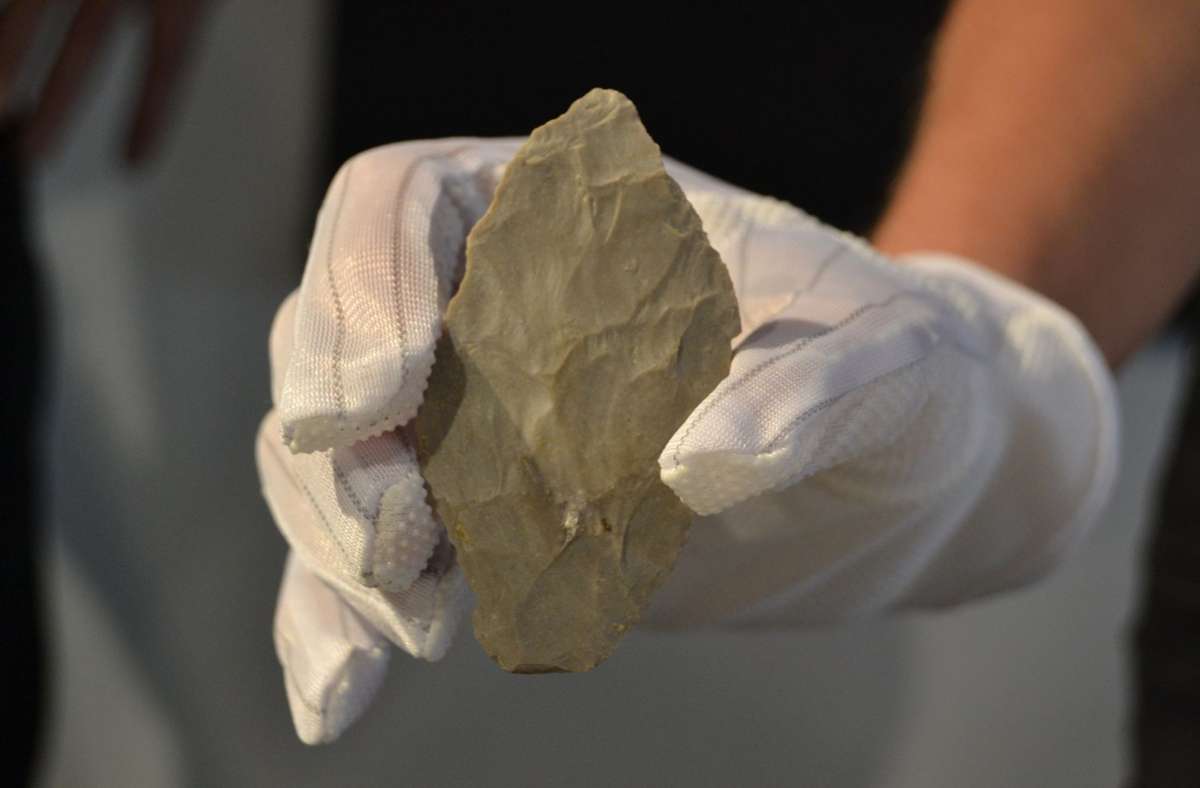 Der 7,6 Zentimeter lange Fund soll mehr als 65 000 Jahre alt sein. Foto: dpa/Frederick Mersi