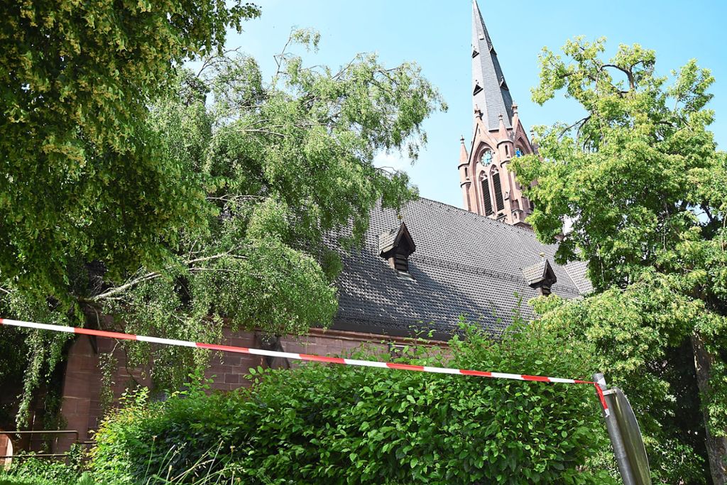Eine Birke fiel auf die Stadtkirche.
