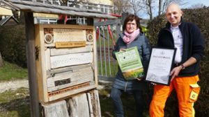 Benzinger gewinnt 500 Euro für Wildbienenhaus