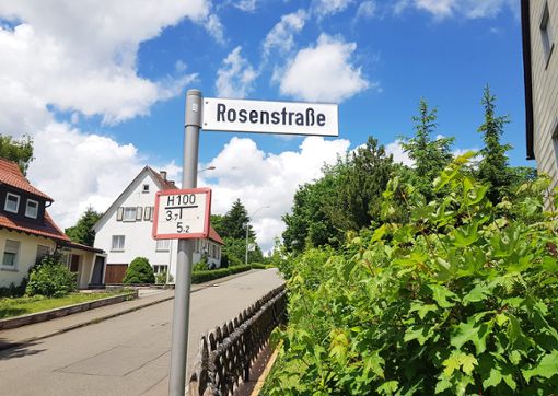 Wann die Glasfaser in die Bitzer Rosenstraße kommt, ist noch unbekannt – aber  Leerrohre werden jetzt  verlegt.Foto: Roth Foto: Schwarzwälder Bote
