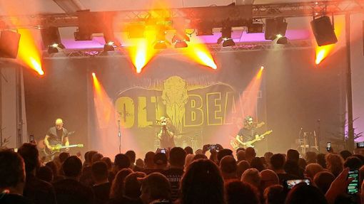 Die Waidbachhalle im Takt von „Voltbeat“ Foto: Weisser