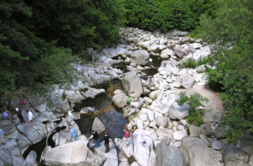 Flussbettwanderungen im Murgtal Foto: AdventureWorld