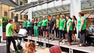 Der Dörlinbacher Chor „Lauschangriff“ plant ein Open-Air-Konzert