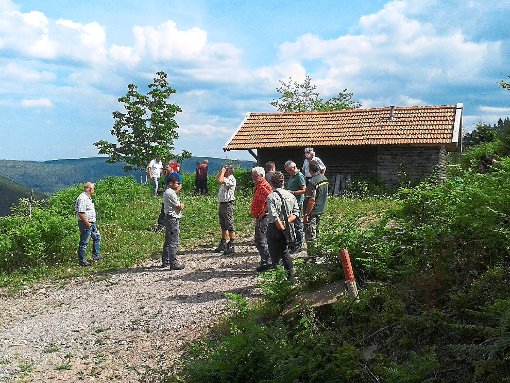 Über die Entwicklung des Waldes informierte sich der Gemeinderat Baiersbronn beim Waldbegang. Foto: Gemeindeverwaltung