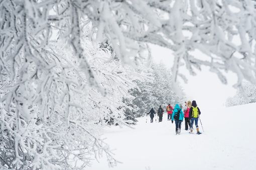 Am Wochenende sind Wanderer in  verzauberter Winterlandschaft unterwegs. Foto: Ebener Foto: Schwarzwälder-Bote
