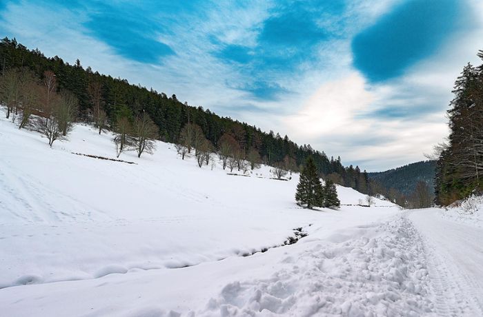 Anzeige: Ausflugstipp Enzklösterle: Winterwanderung auf dem Heidelbeerweg