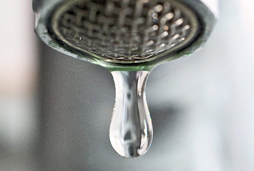 Gute Kunde für Verbraucher: Sie müssen vorerst nicht mehr als bisher fürs Trinkwasser bezahlen. Foto: Pleul Foto: Schwarzwälder-Bote