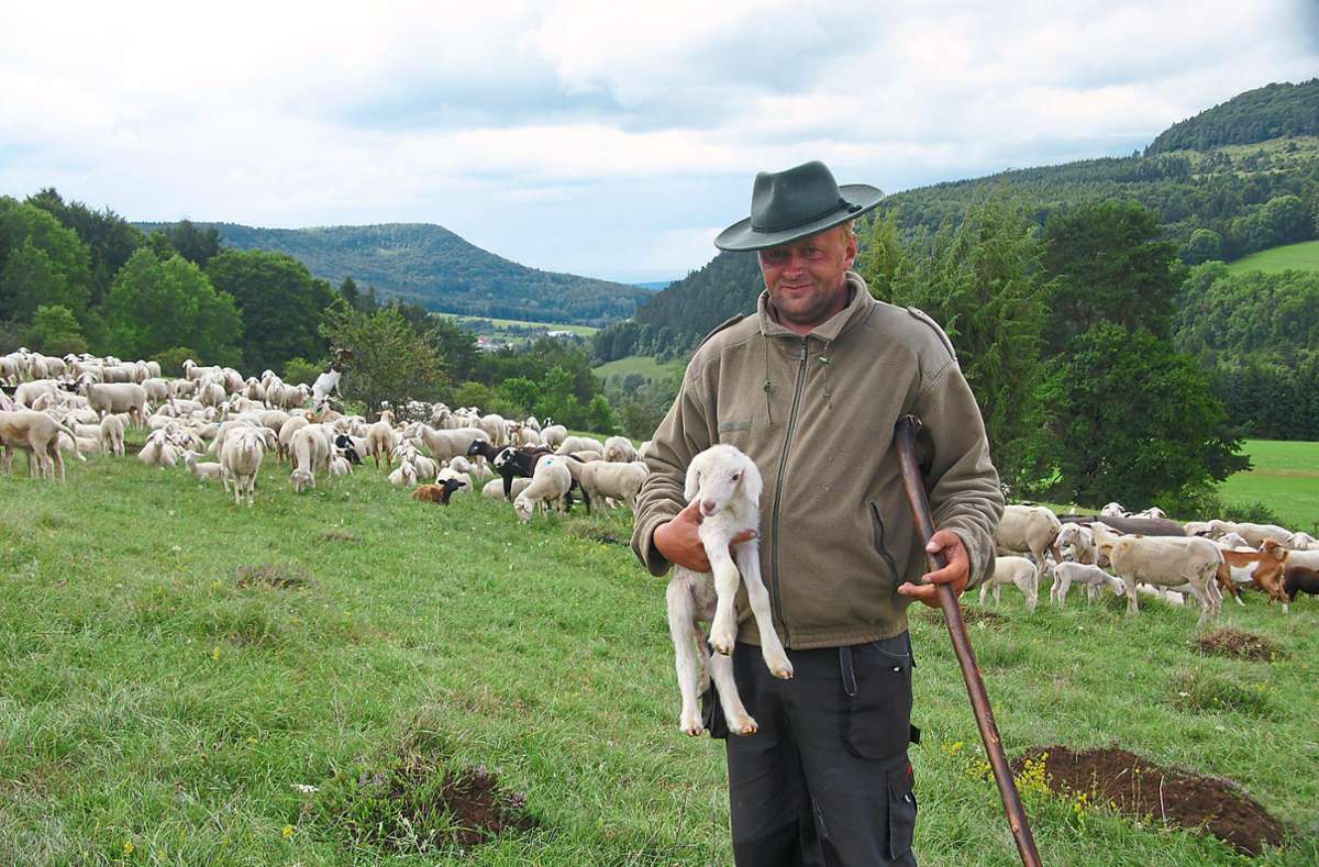 Wanderschäfer Frank Rehm überlegt sich, künftig nachts bei seinen Schafen zu schlafen, damit die vor dem Wolf sicher sind. Foto: Rapthel-Kieser