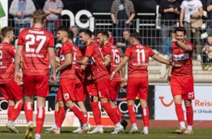 Das Team der TSG Balingen spielt aktuell ihre erfolgreichste Saison in der Regionalliga Südwest. Foto: Eibner-Pressefoto/Dennis Duddek