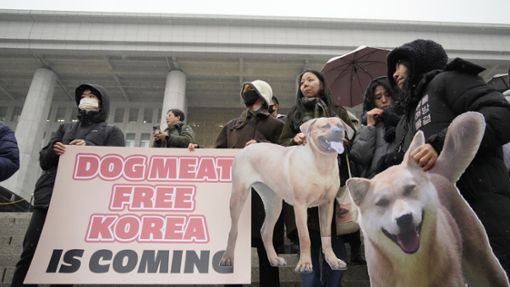 Tierschützer unterstützen in Seoul das von der Regierung eingebrachte Gesetz zum Verbot von Hundefleisch. Foto: dpa/Ahn Young-joon
